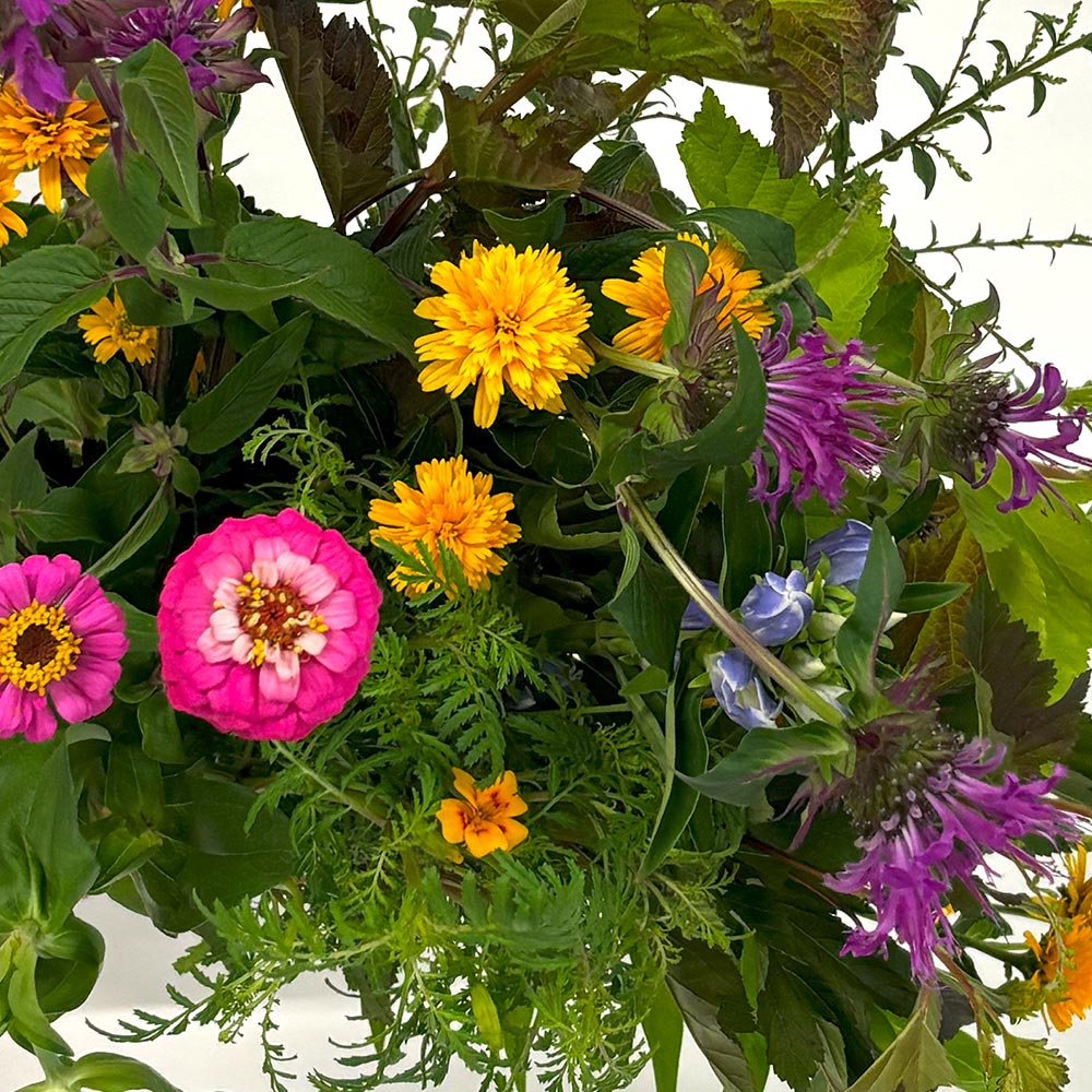 【8月22日~23日お届け】信州・高原の草花の贈り物