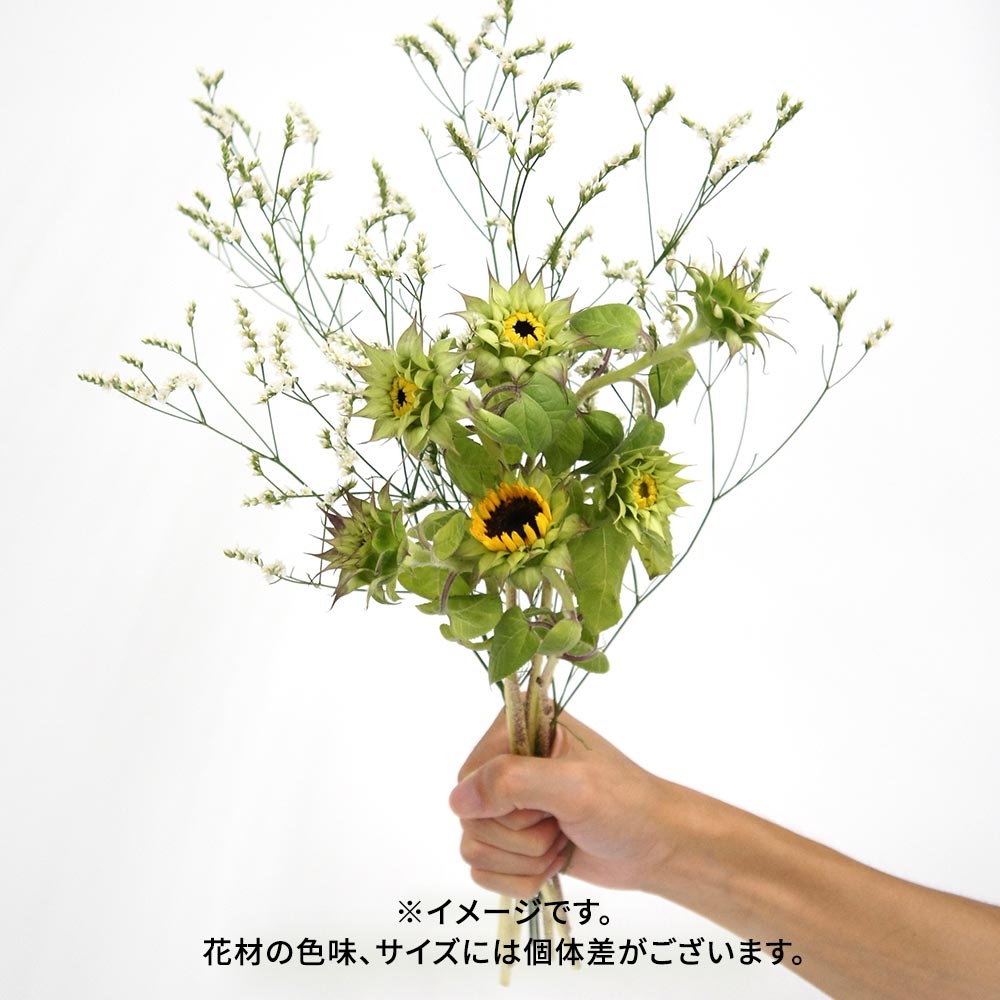 【10月3日~4日お届け】北海道留萌産 ガクを楽しむひまわりと季節の花