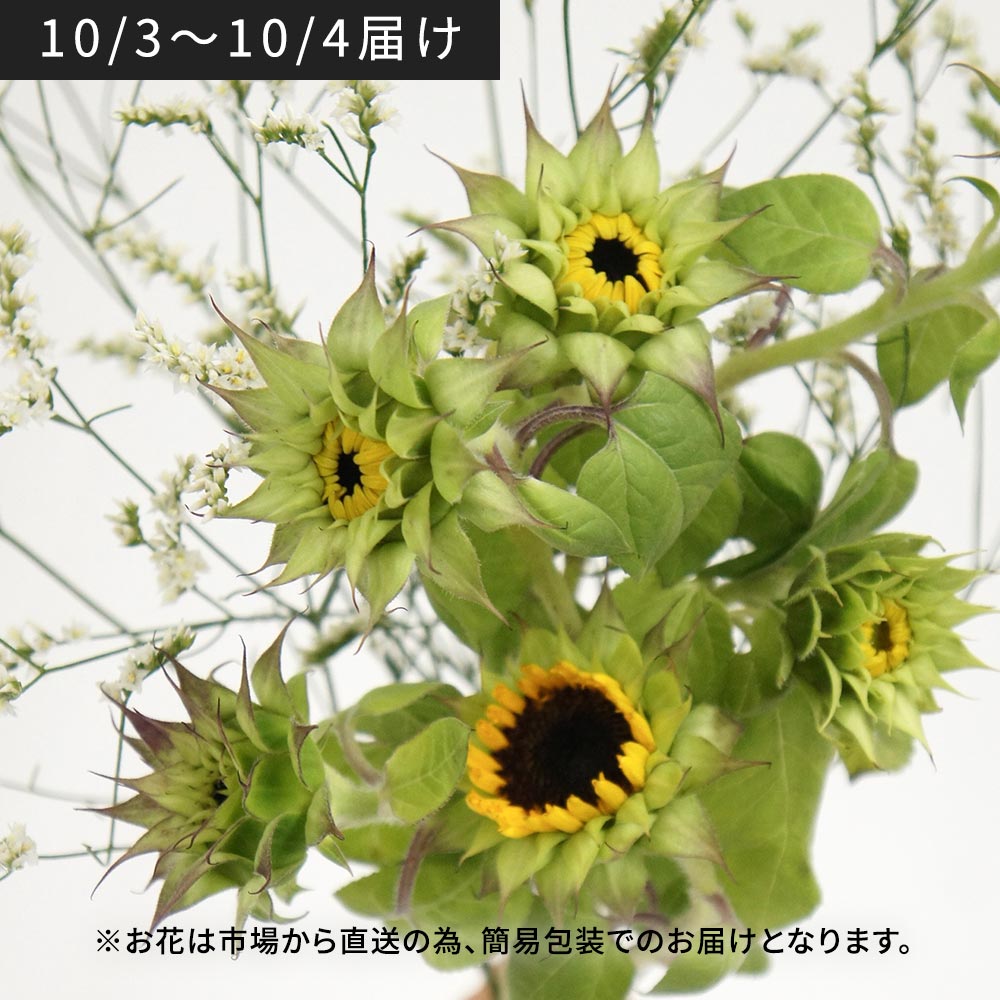 【10月3日~4日お届け】北海道留萌産 ガクを楽しむひまわりと季節の花