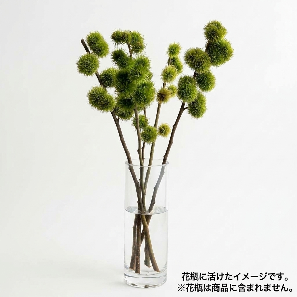 【10月9日お届け】茨城県常陸大宮産の栗