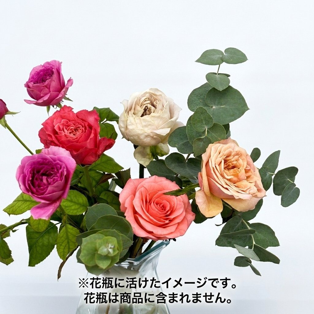 【10月31日～11月1日お届け】静岡県やぎバラ育種農園のバラMIX