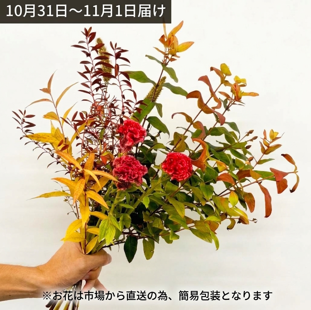 【10月31日～11月1日お届け】プティケイトウと紅葉枝の花束
