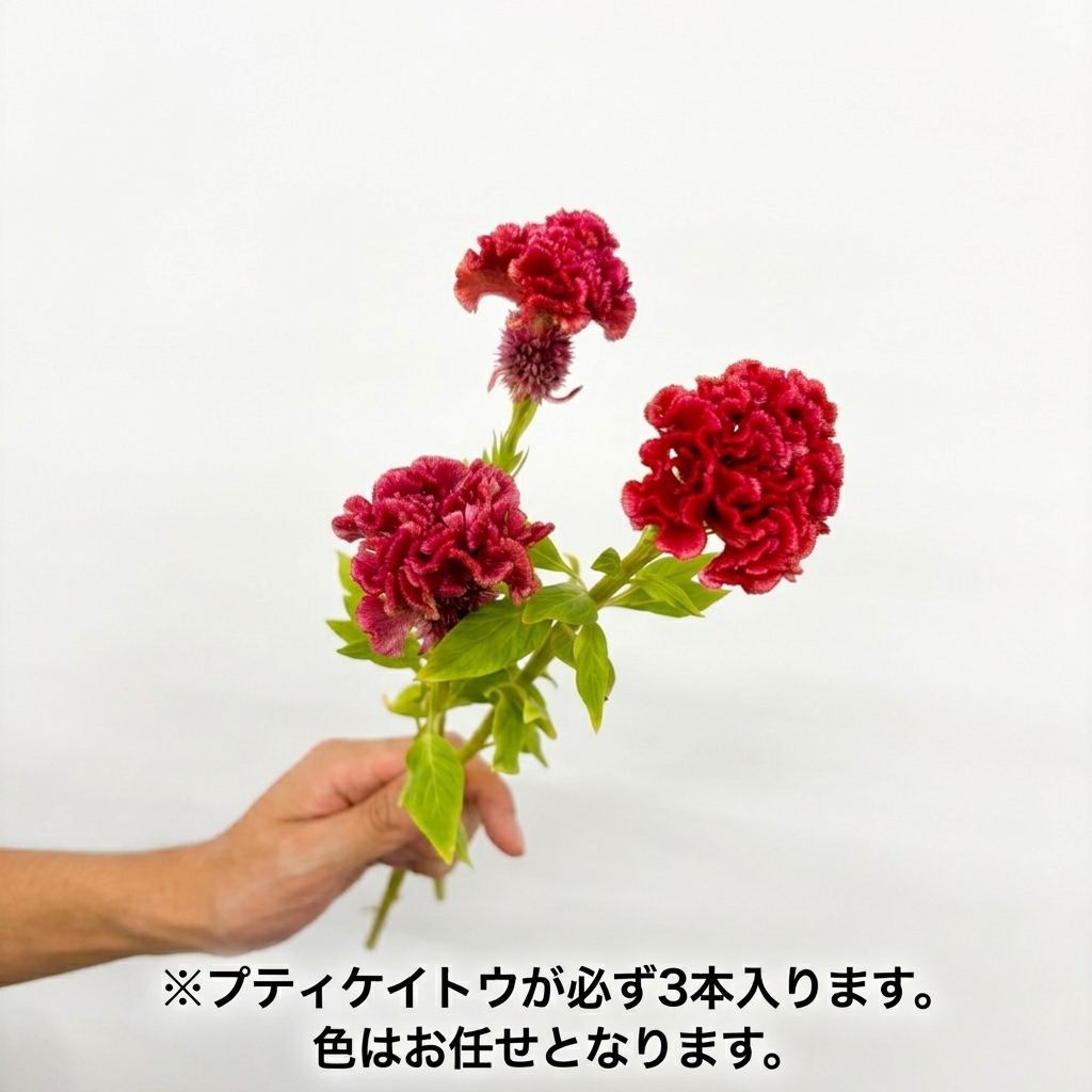 【10月31日～11月1日お届け】プティケイトウと紅葉枝の花束