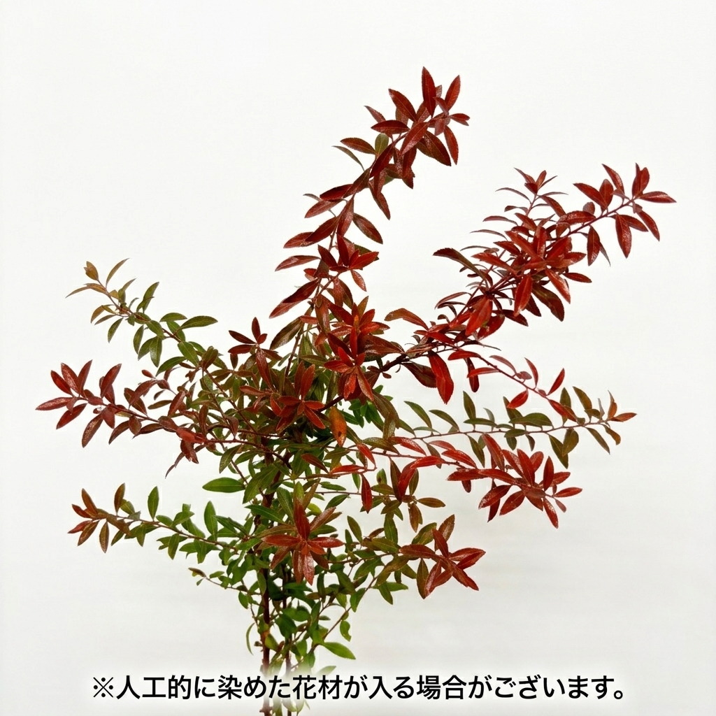 【10月31日～11月1日お届け】プティケイトウと紅葉枝の花束