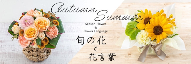 旬の花と花言葉特集