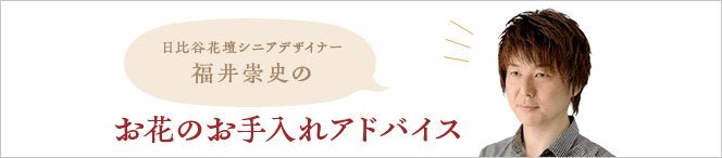 お花のお手入れアドバイス