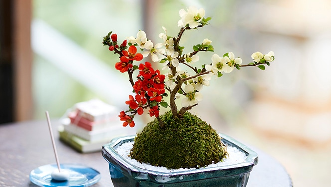 お花
