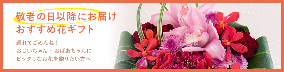 敬老の日以降にお届け おすすめ花ギフト