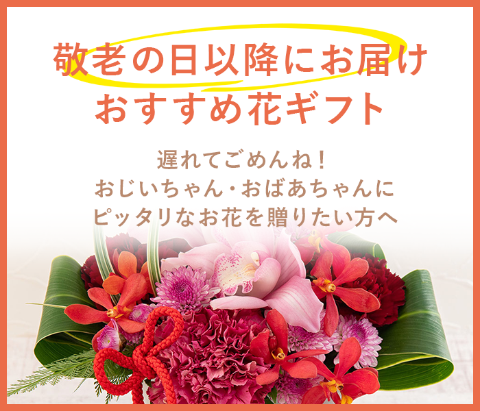 敬老の日以降にお届け おすすめ花ギフト