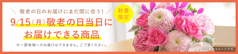 ＼敬老の日のお届けにまだ間に合う！／数量限定 9/15（金）敬老の日当日にお届けできる商品！