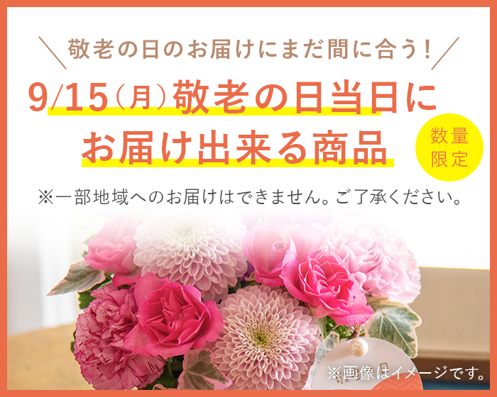 ＼敬老の日のお届けにまだ間に合う！／数量限定 9/15（金）敬老の日当日にお届けできる商品を
