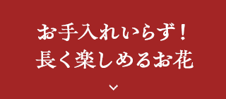 お手入れいらず！長く楽しめるお花