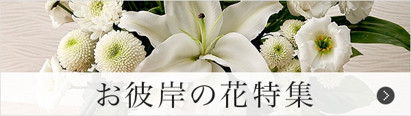 お彼岸の花特集