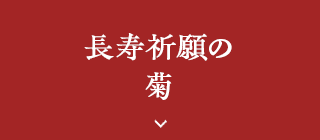長寿祈願の菊