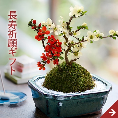 天国のおじいちゃん・おばあちゃんへ贈る