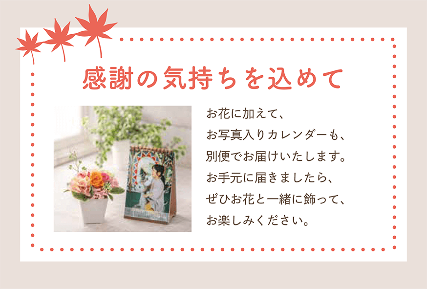 案内カード表面