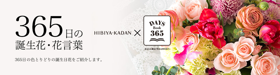 365日の誕生花・花言葉