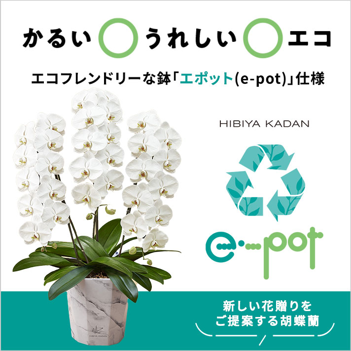 e-pot