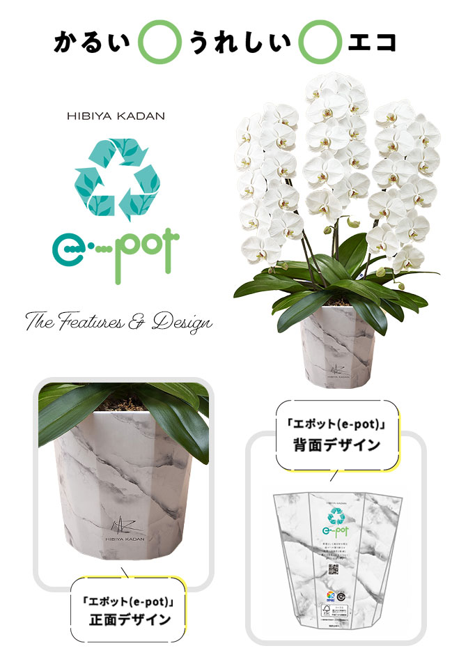 e-pot
