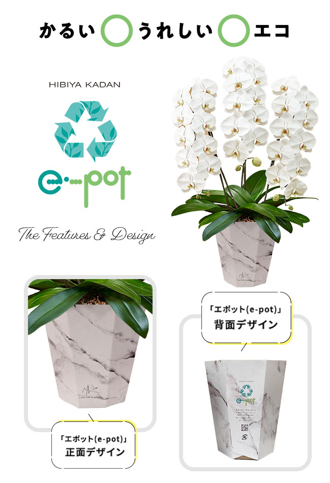 e-pot