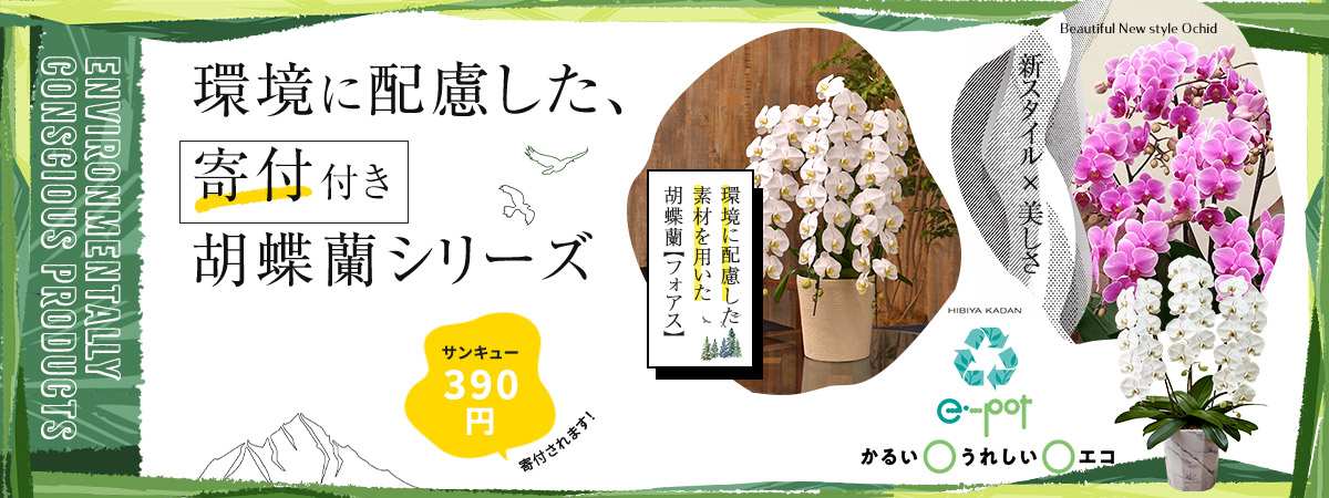 環境に配慮した 、寄付付き胡蝶蘭シリーズ