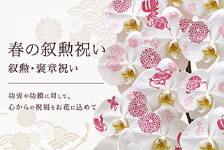 叙勲祝い