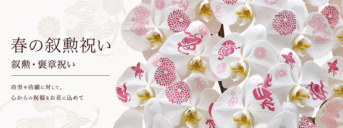叙勲・褒章・文化勲章祝いの花・花ギフト特集