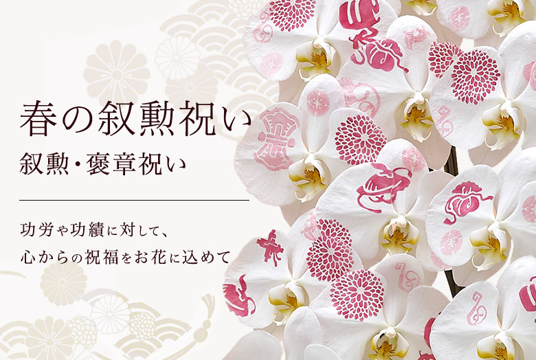 叙勲・褒章・文化勲章祝いの花・花ギフト特集