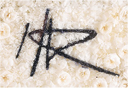 sample:ロゴ出来上がり