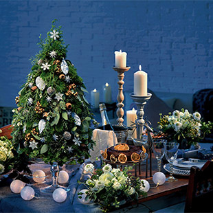 special シーズナルディスプレイ