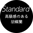 Standard 高級感のある胡蝶蘭