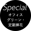 special オフィスグリーン・定期挿花