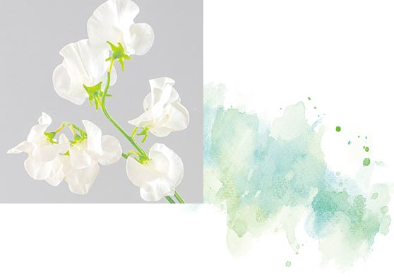 1月お花画像