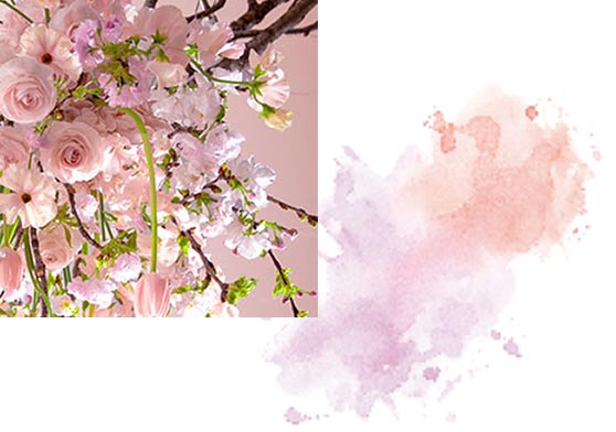 4月お花画像