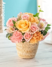 Arrangement