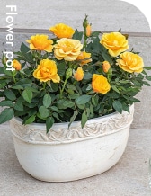 Flower pot