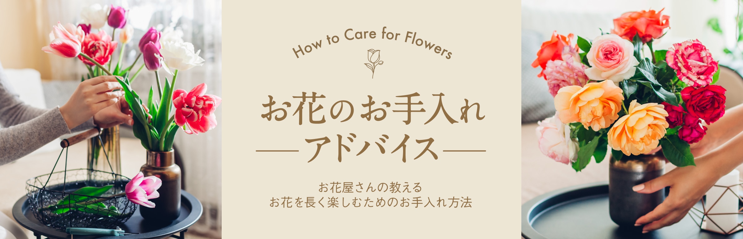 お花のお手入れアドバイス How to Care for Flowers お花屋さんの教えるお花を長く楽しむためのお手入れ方法
