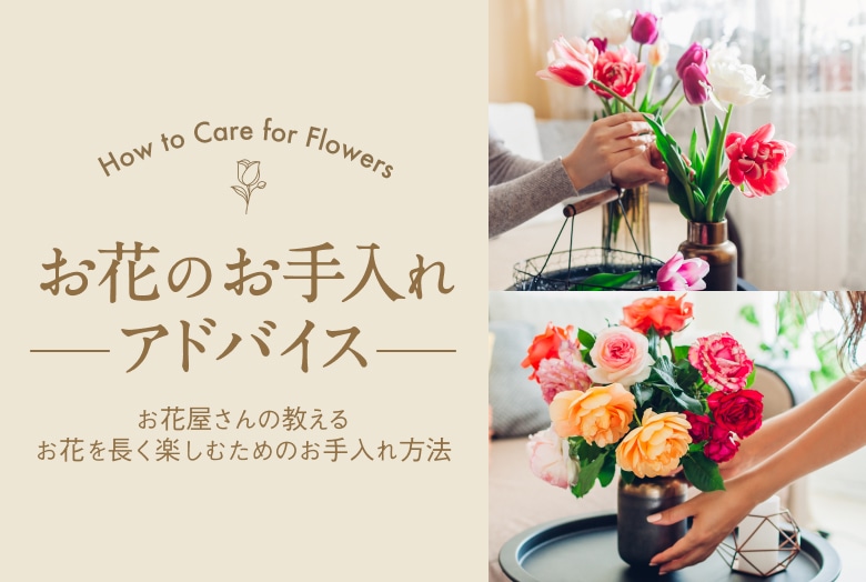 お花のお手入れアドバイス How to Care for Flowers お花屋さんの教えるお花を長く楽しむためのお手入れ方法