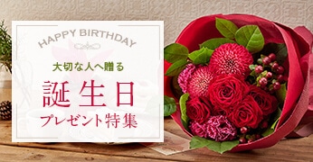 誕生日プレゼント特集