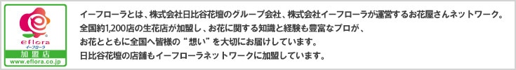 イーフローラとは、株式会社日比谷花壇のグループ会社、株式会社イーフローラが運営するお花屋さんネットワーク。全国約1,300店の生花店が加盟しお花に関する知識と経験も豊富なプロが、お花とともに全国へ皆様の想いを大切にお届けしています。日比谷花壇の店舗もイーフローラネットワークに加盟しています。