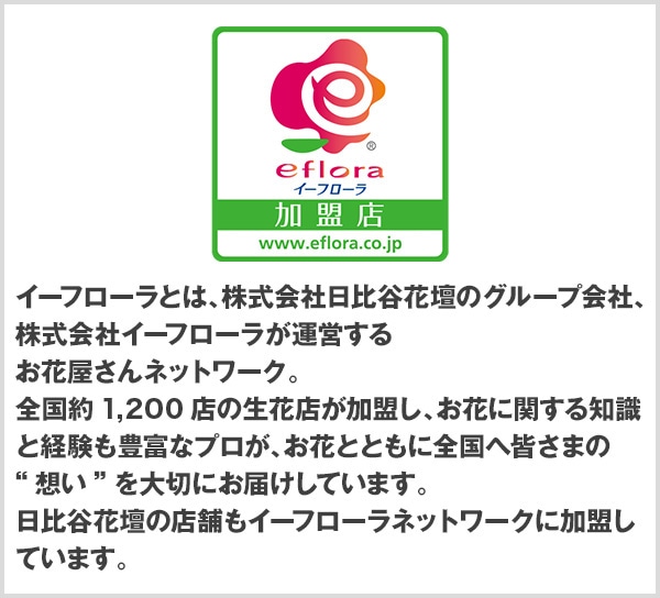 イーフローラとは、株式会社日比谷花壇のグループ会社、株式会社イーフローラが運営するお花屋さんネットワーク。全国約1,300店の生花店が加盟しお花に関する知識と経験も豊富なプロが、お花とともに全国へ皆様の想いを大切にお届けしています。日比谷花壇の店舗もイーフローラネットワークに加盟しています。