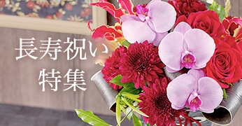 長寿祝い特集