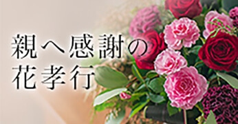 親に感謝の花孝行