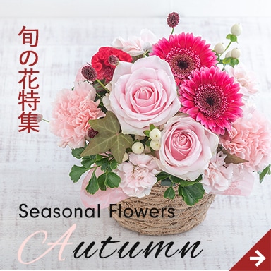 旬の花特集
