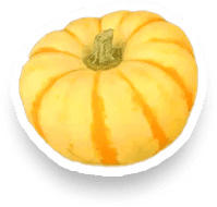 ハロウィン用のかぼちゃ