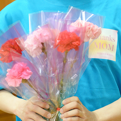 フレネットHIBIYA カーネーション