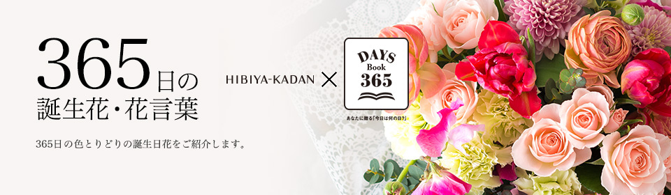 365日の誕生花・花言葉・由来について