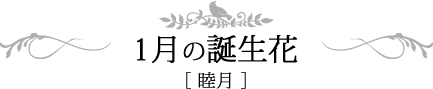 1月の誕生日 睦月