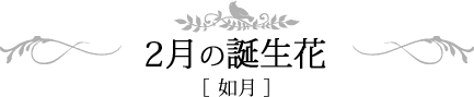 2月の誕生日 睦月