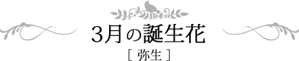 3月の誕生日 弥生